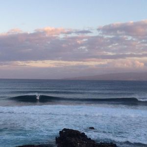 Meet your Posher, Lehua